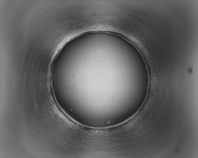 X0000116341374200912151318