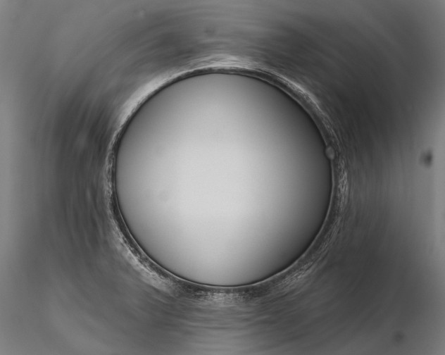 X0000116341375200912151318