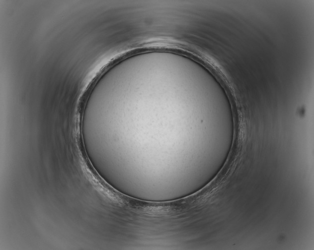 X0000116341376200912151318