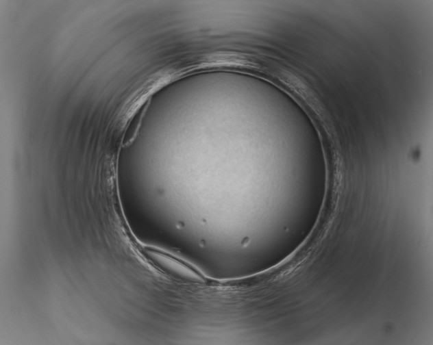 X0000116341377200912151318