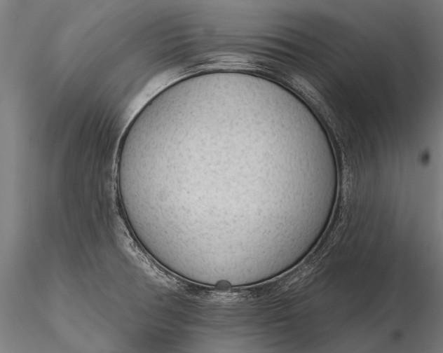 X0000116341378200912151318