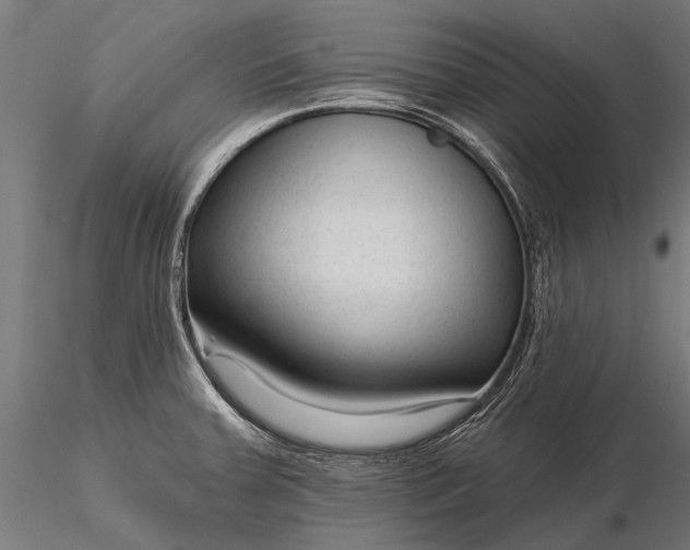 X0000116341379200912151318