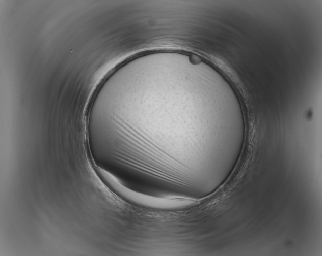 X0000116341380200912151318