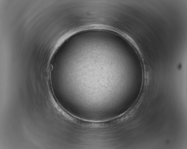 X0000116341381200912151318