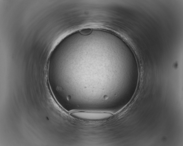 X0000116341382200912151318