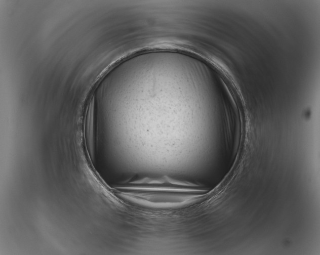 X0000116341384200912151318