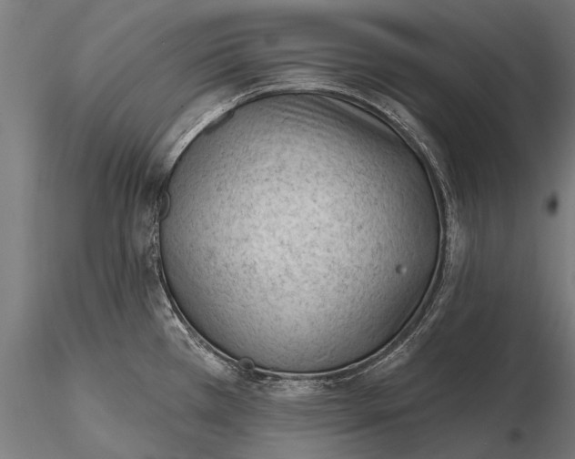 X0000116341385200912151318