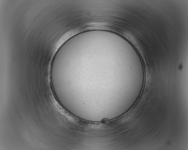 X0000116341386200912151318