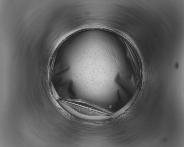 X0000116341388200912151318