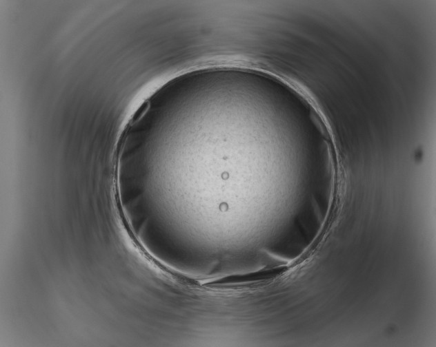 X0000116341389200912151318