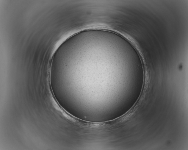 X0000116341390200912151318