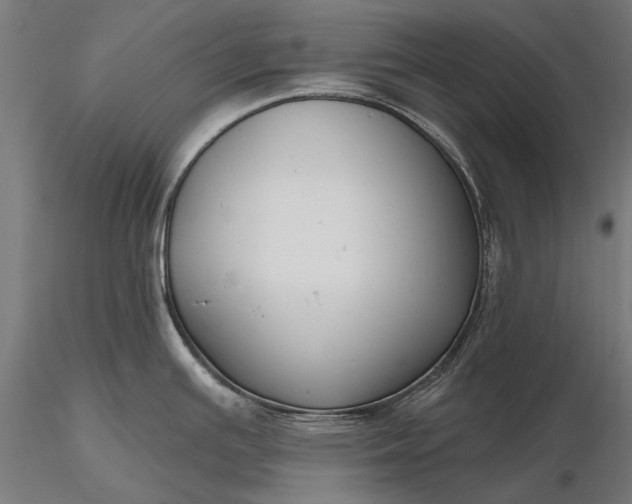 X0000116341391200912151318