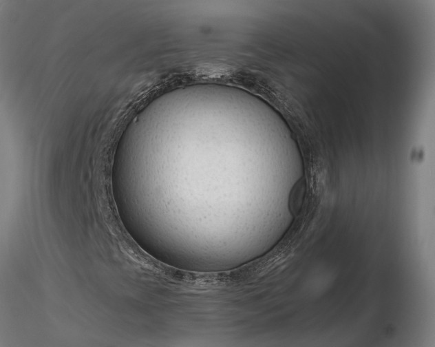 X0000116341393200912151317