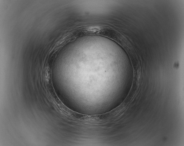 X0000116341394200912151317