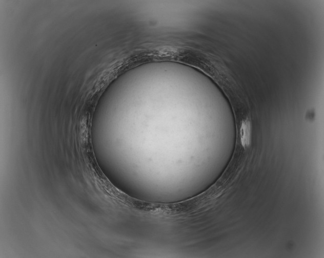 X0000116341395200912151317