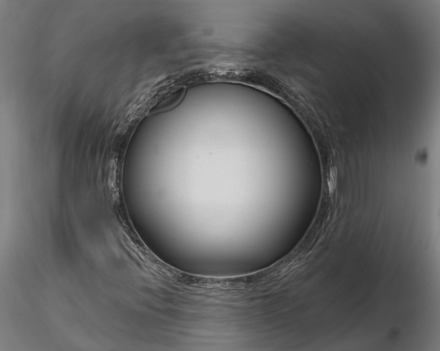 X0000116341396200912151317