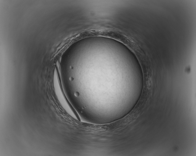 X0000116341397200912151317