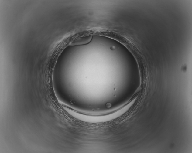 X0000116341398200912151317