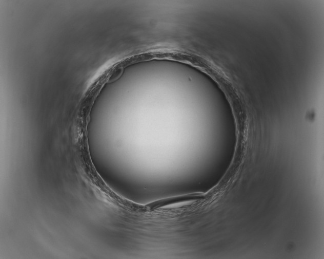 X0000116341400200912151317