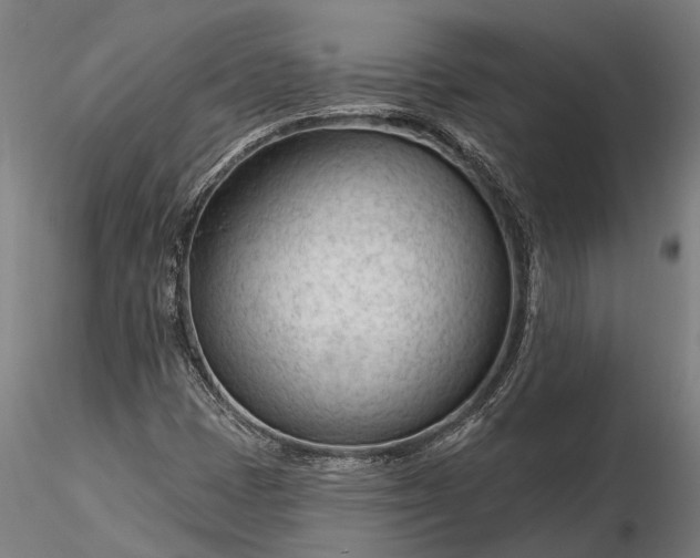 X0000116341401200912151317