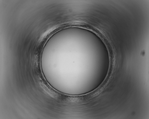 X0000116341402200912151317