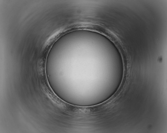 X0000116341403200912151317