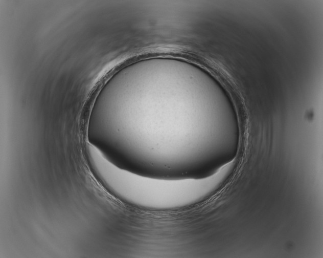 X0000116341404200912151317