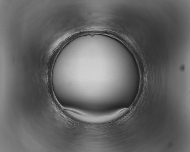 X0000116341406200912151317