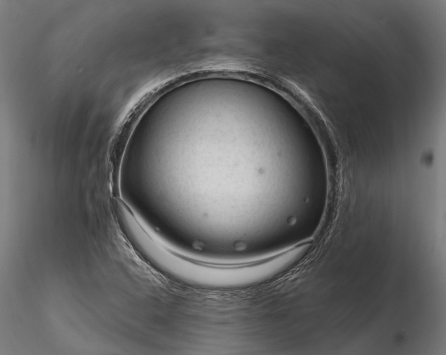 X0000116341408200912151317