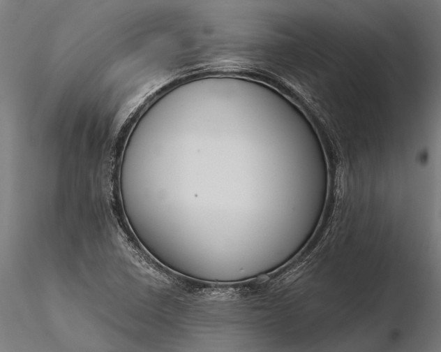 X0000116341410200912151317