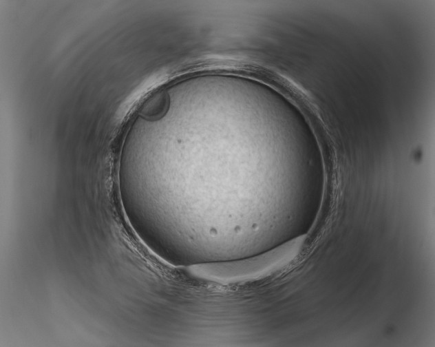 X0000116341411200912151317