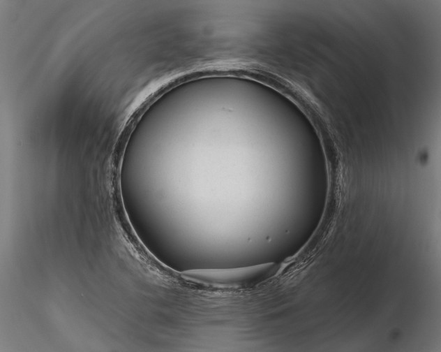 X0000116341412200912151317