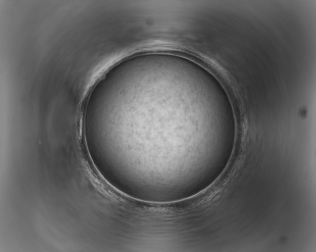 X0000116341413200912151317