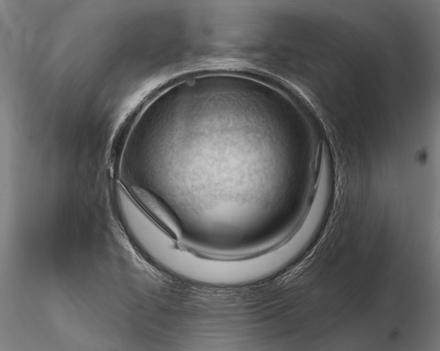 X0000116341414200912151317