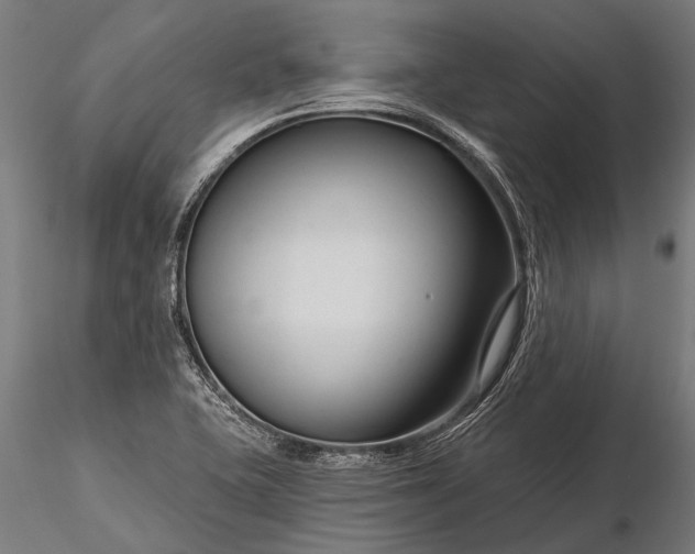 X0000116341415200912151318