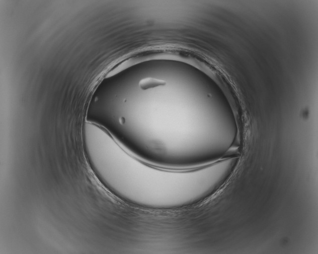 X0000116341417200912151318