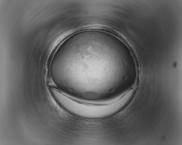 X0000116341418200912151318