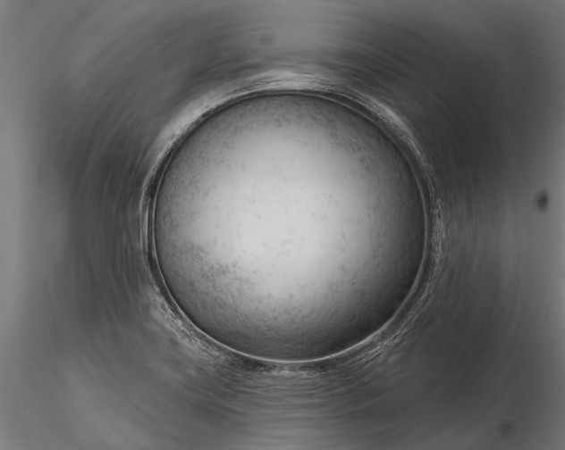 X0000116341419200912151318