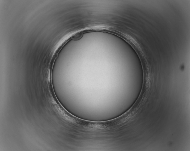 X0000116341420200912151318