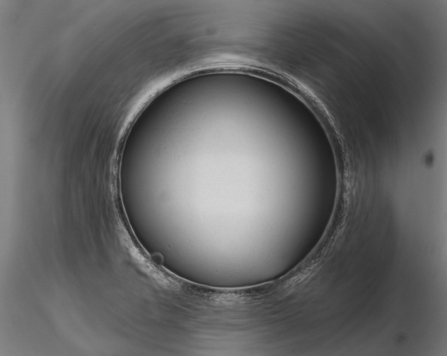 X0000116341421200912151318