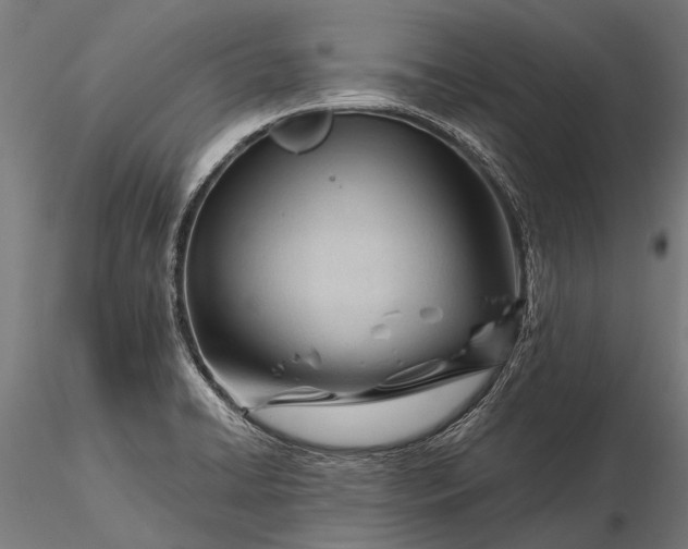 X0000116341422200912151318