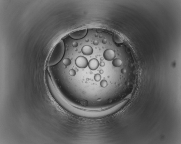 X0000116341423200912151318