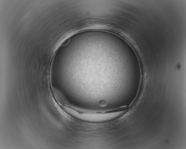 X0000116341425200912151318