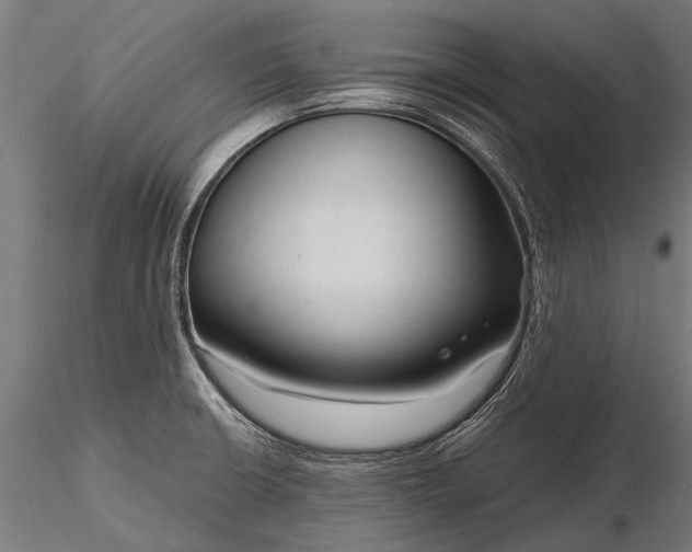 X0000116341426200912151318