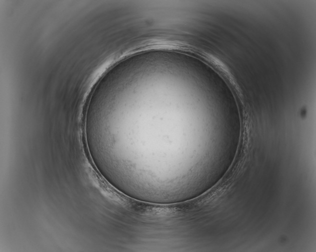 X0000116341427200912151318