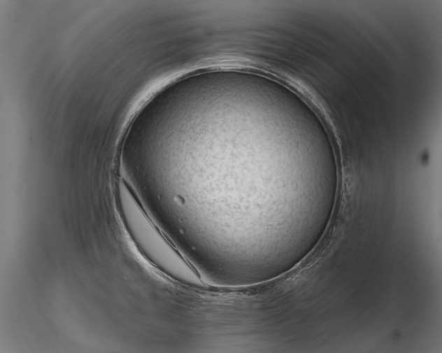 X0000116341429200912151318