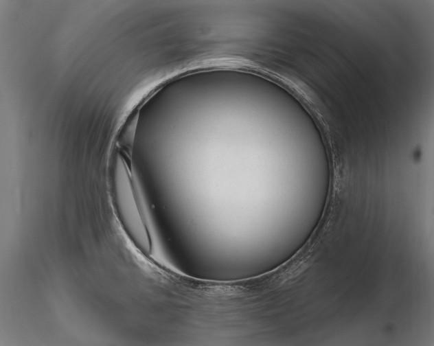 X0000116341430200912151318