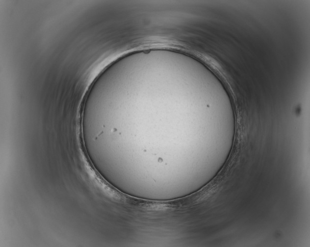 X0000116341431200912151318