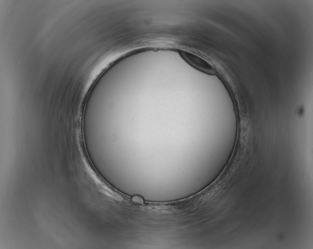 X0000116341432200912151318