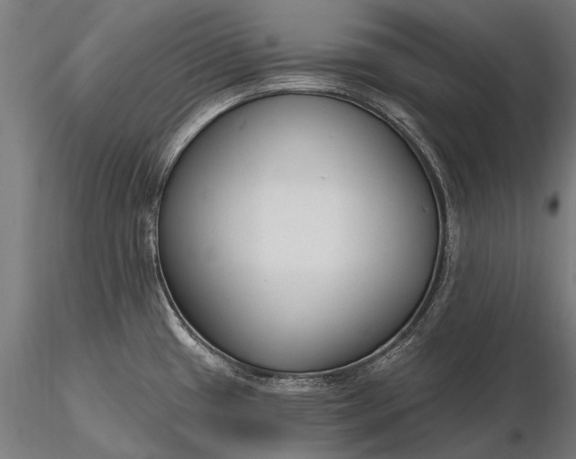 X0000116341433200912151318